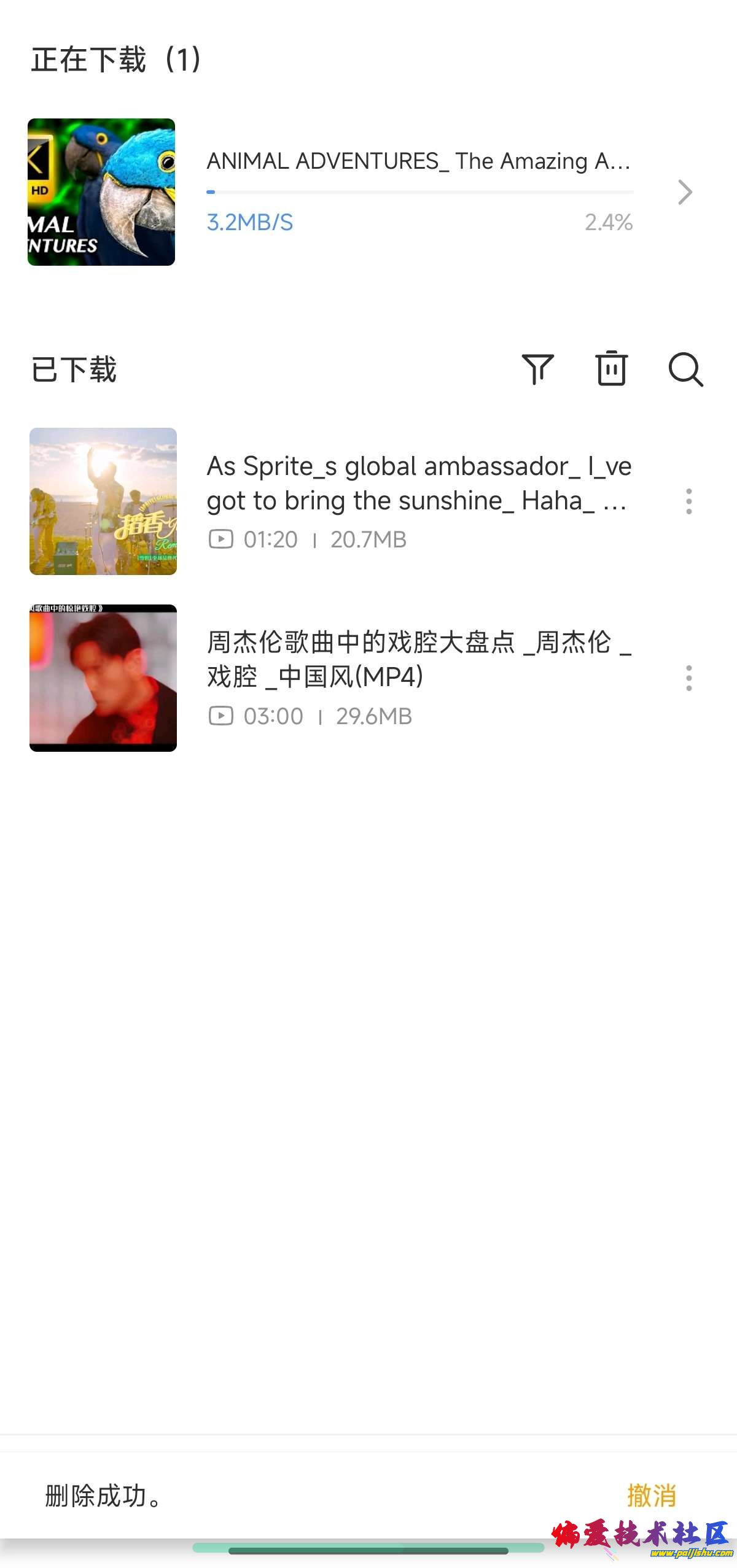1000008291.jpg