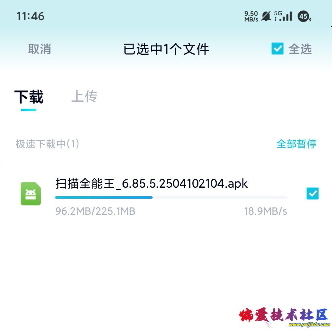 1000018526.jpg