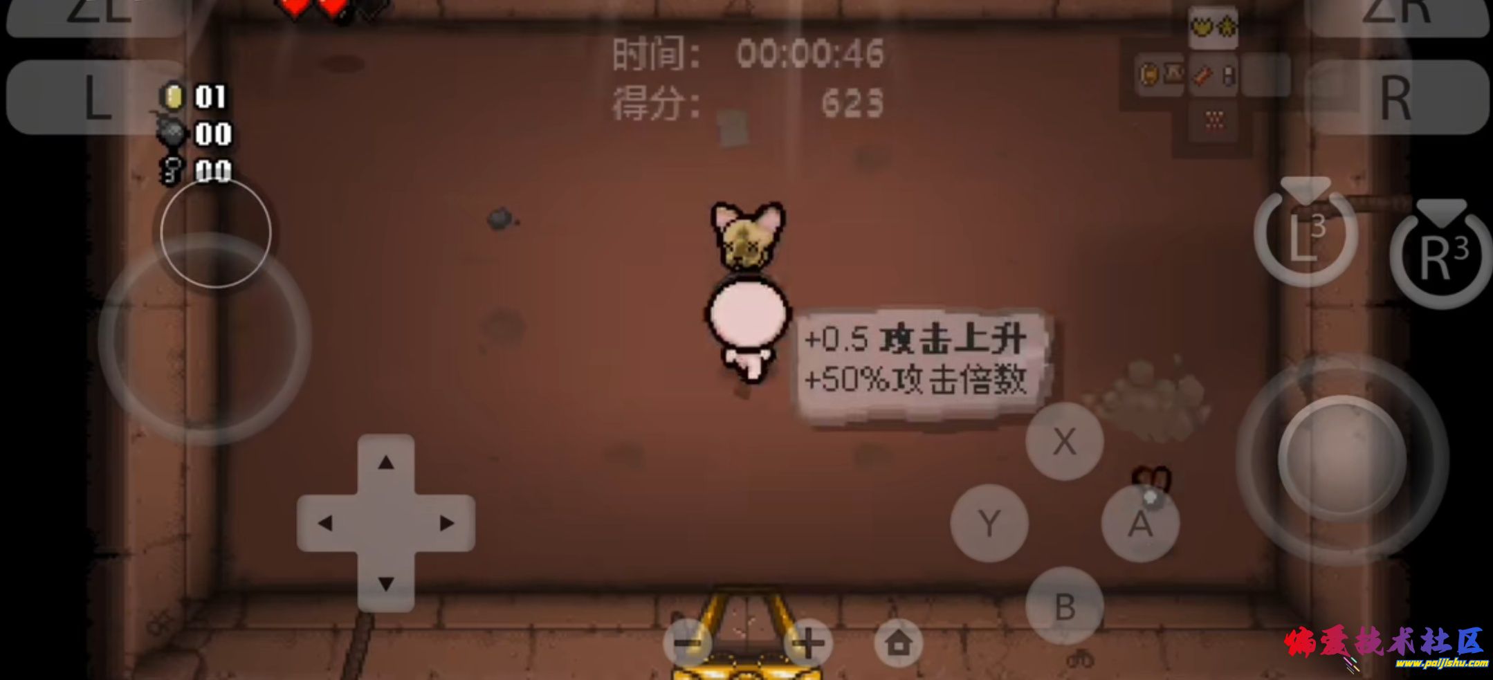 1000010635.jpg