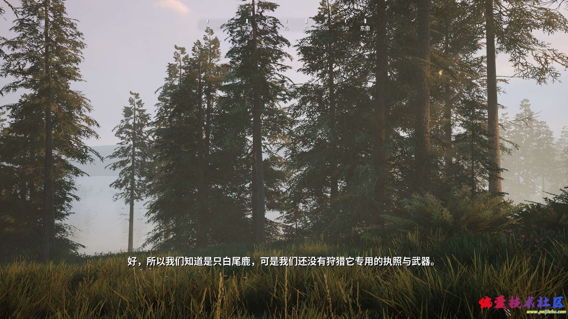 1000021707.jpg