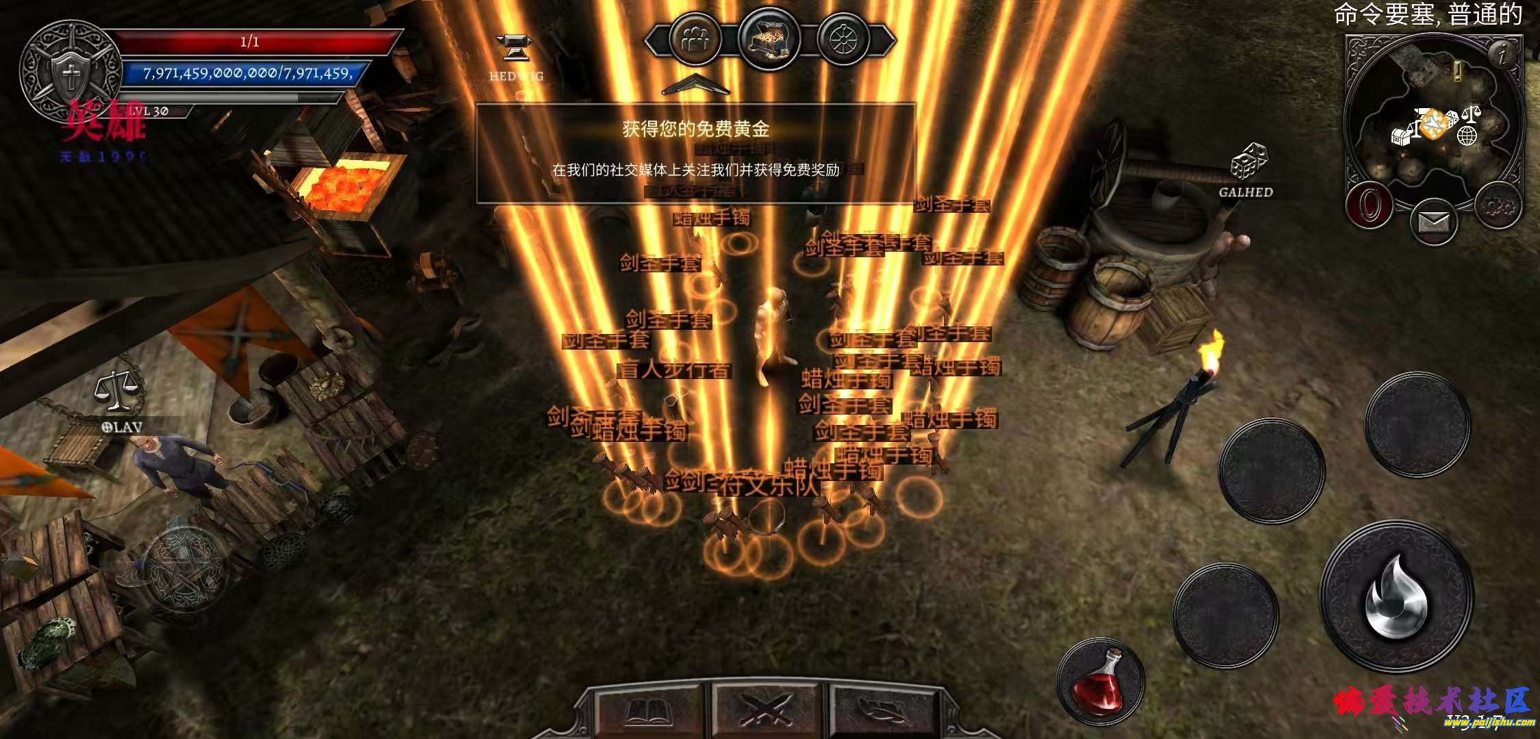 1000013481.jpg