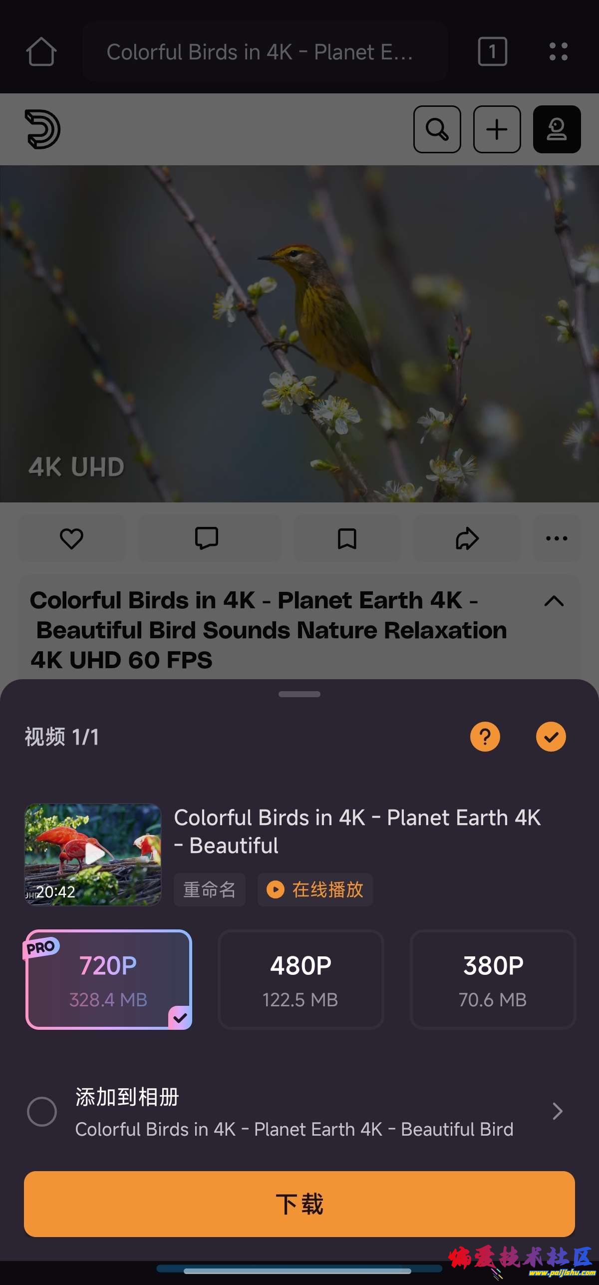 1000013063.jpg