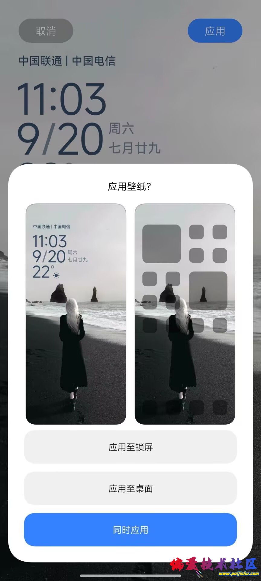 1000013688.jpg