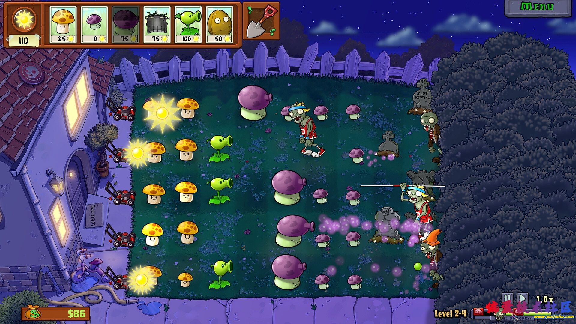 1000028069.jpg