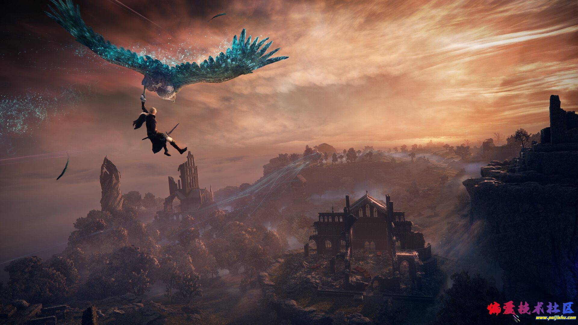 1000017094.jpg
