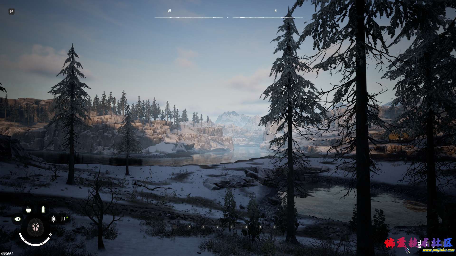 1000031556.jpg