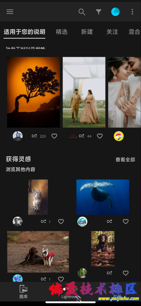 IMG_1547.png