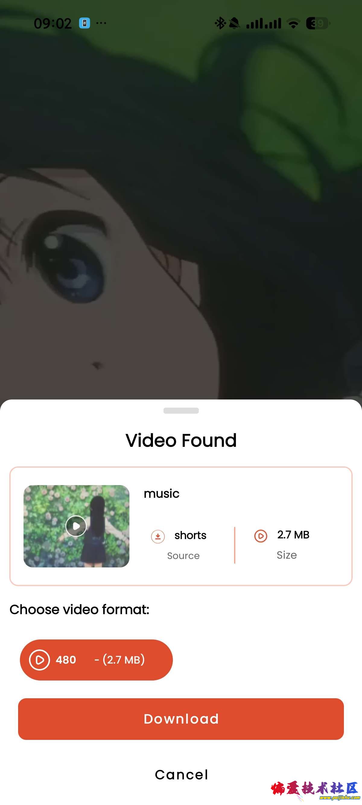 1000021000.jpg