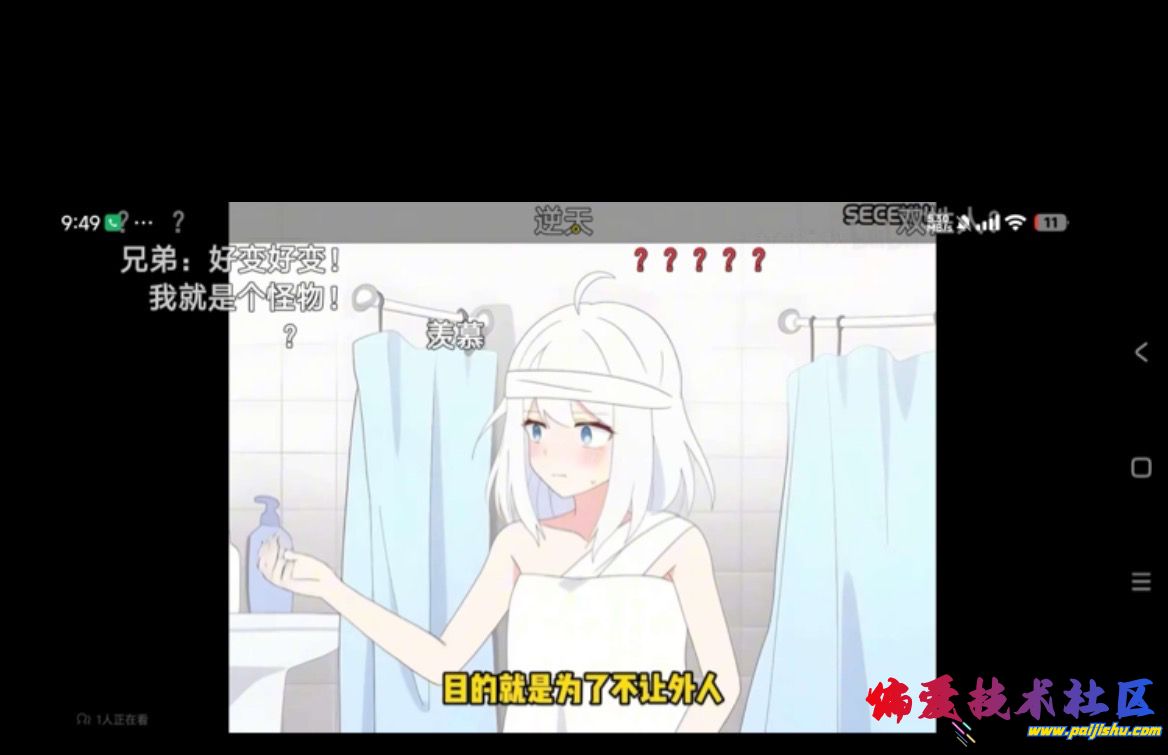 IMG_2303.jpeg