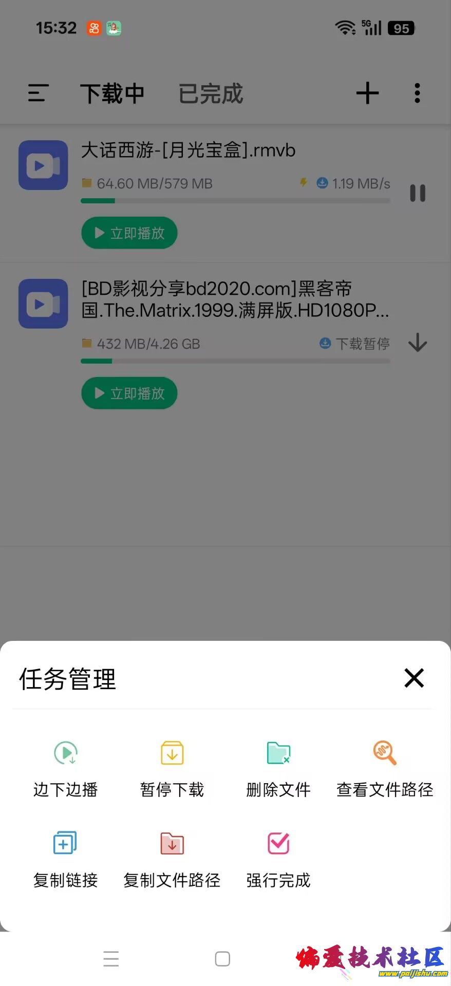 1000023335.jpg