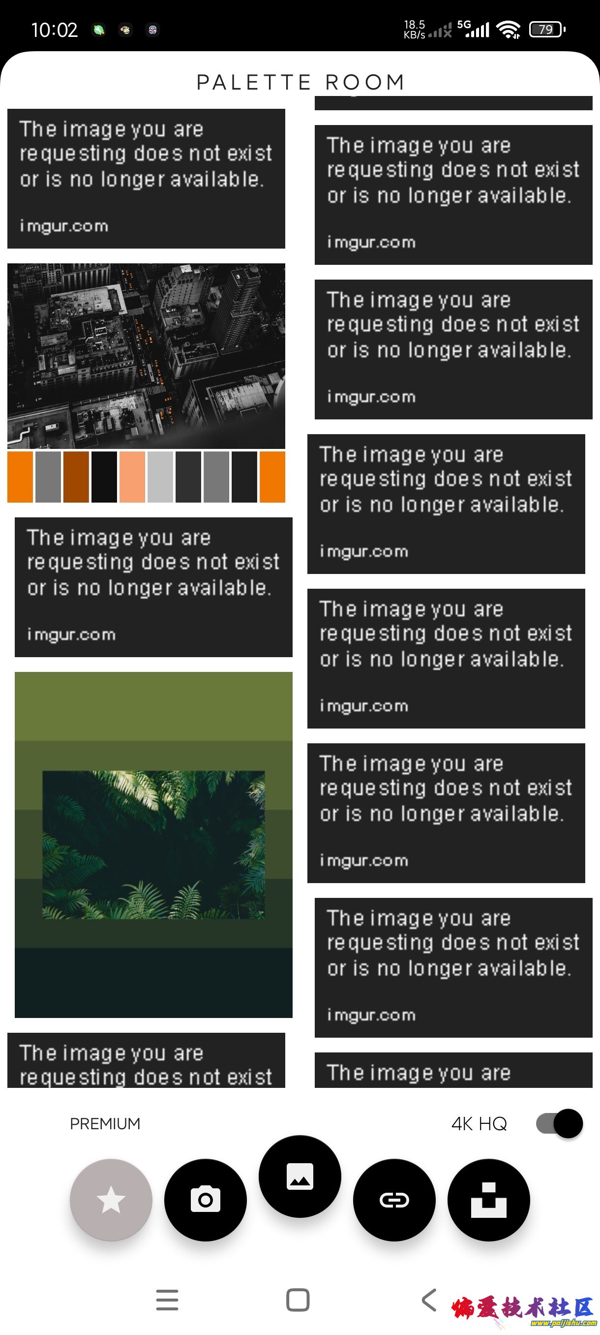 1000021746.jpg