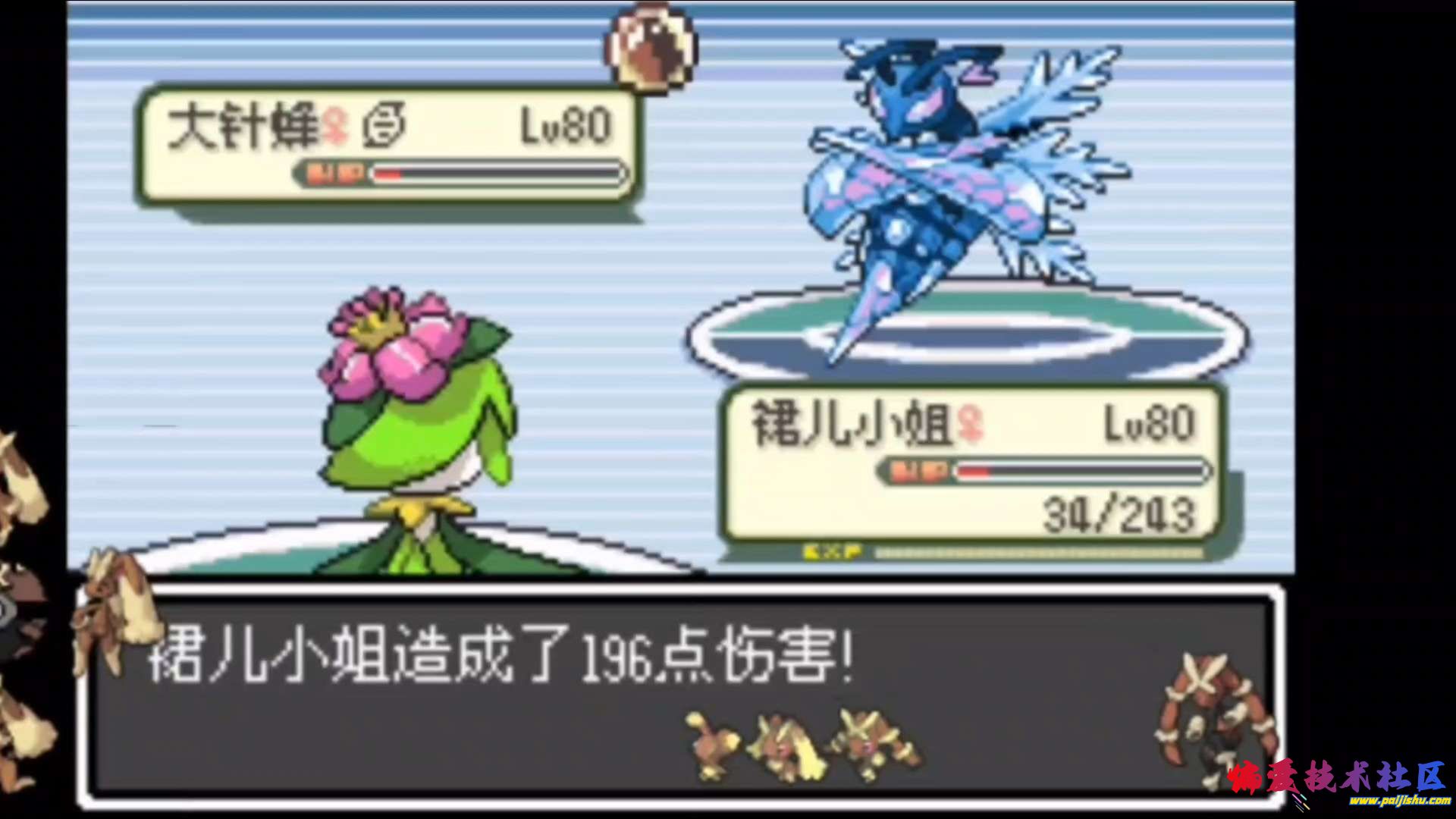 1000022981.jpg