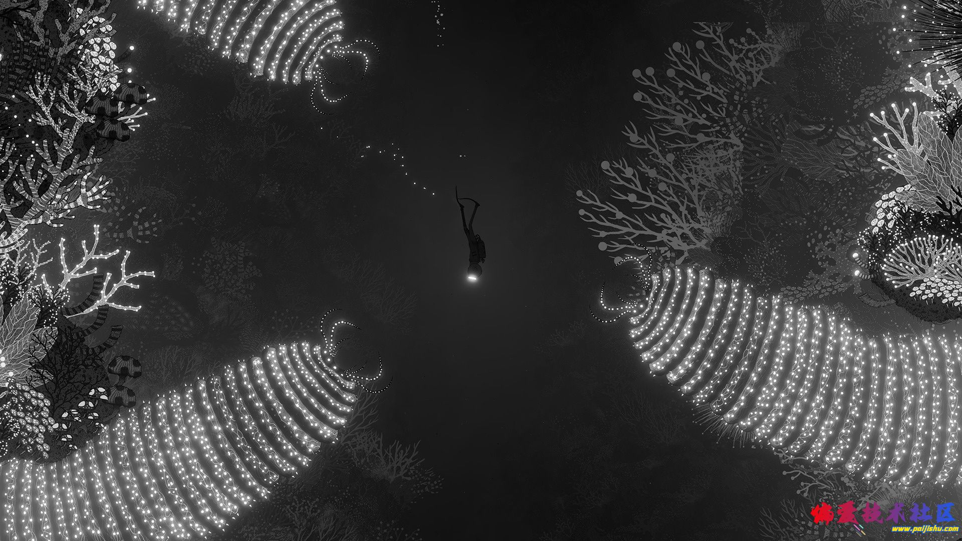 1000023527.jpg