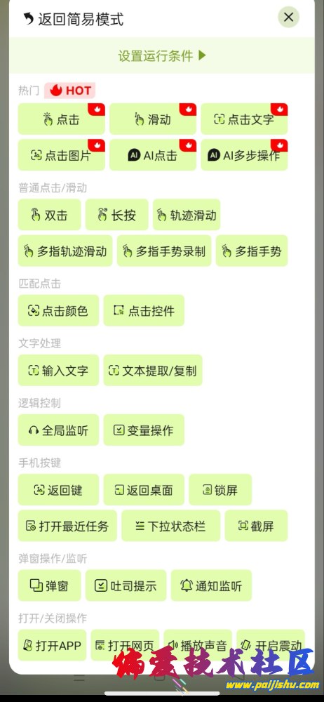 IMG_4185.png