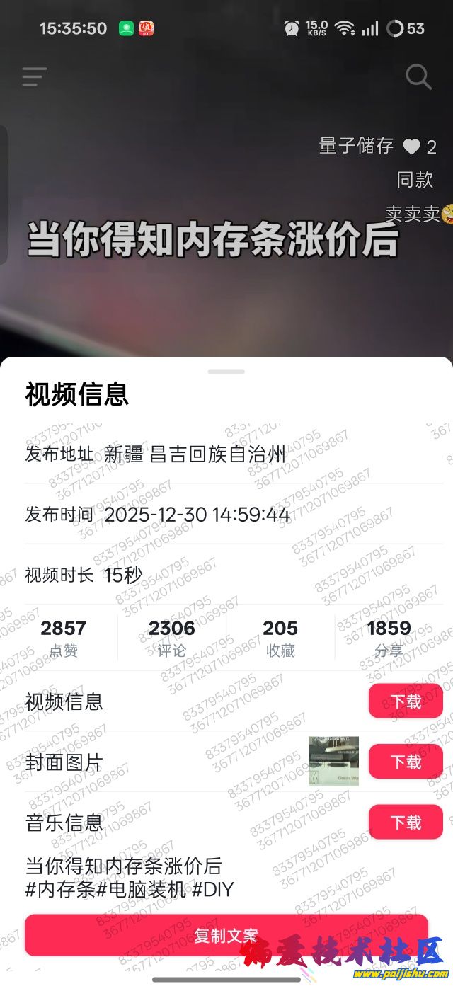 1000026003.jpg