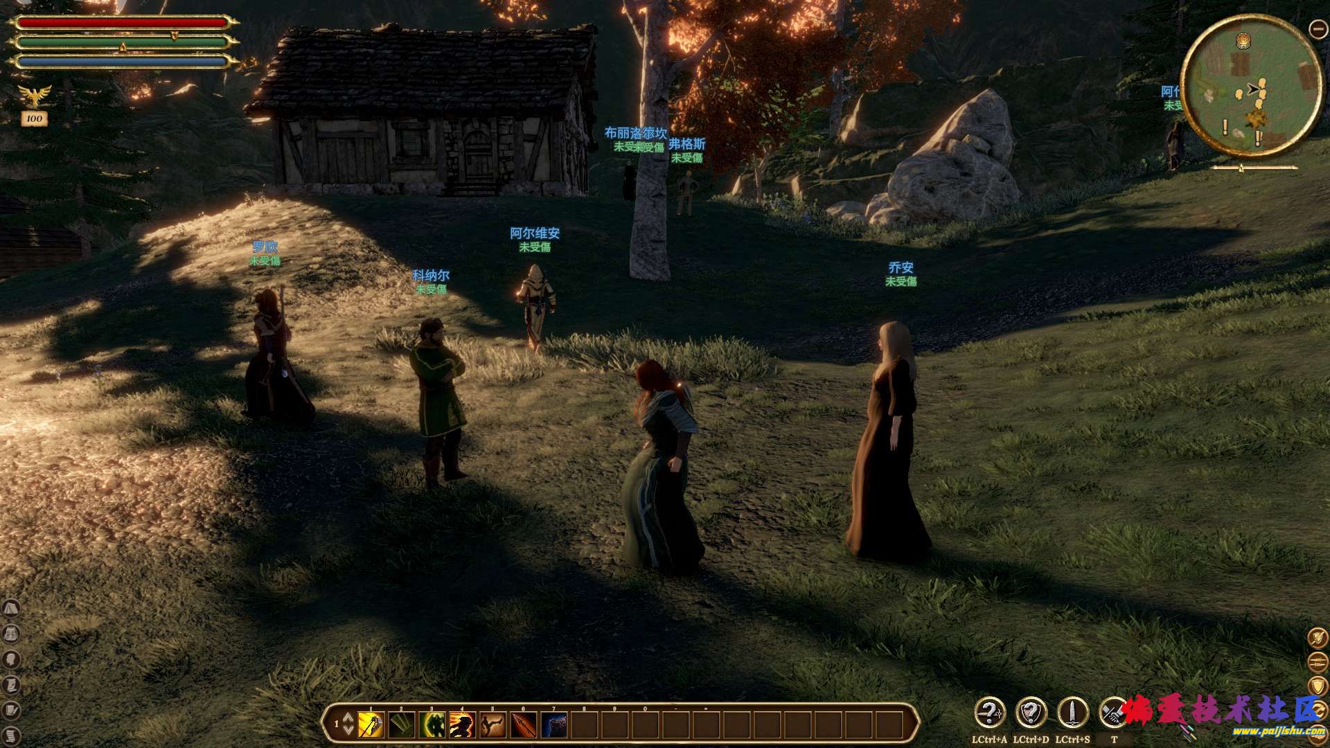 5575.jpg