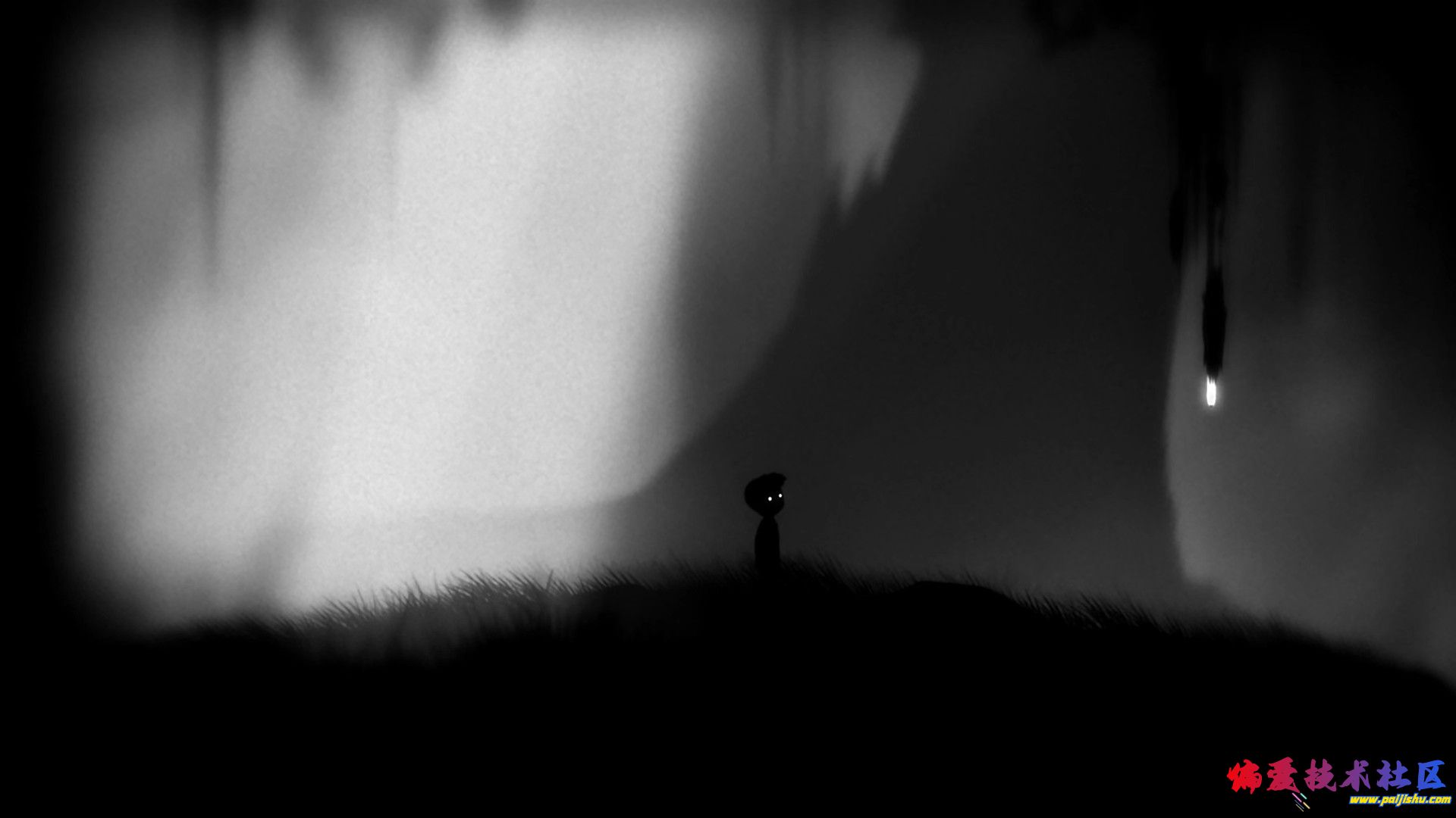 1000024869.jpg