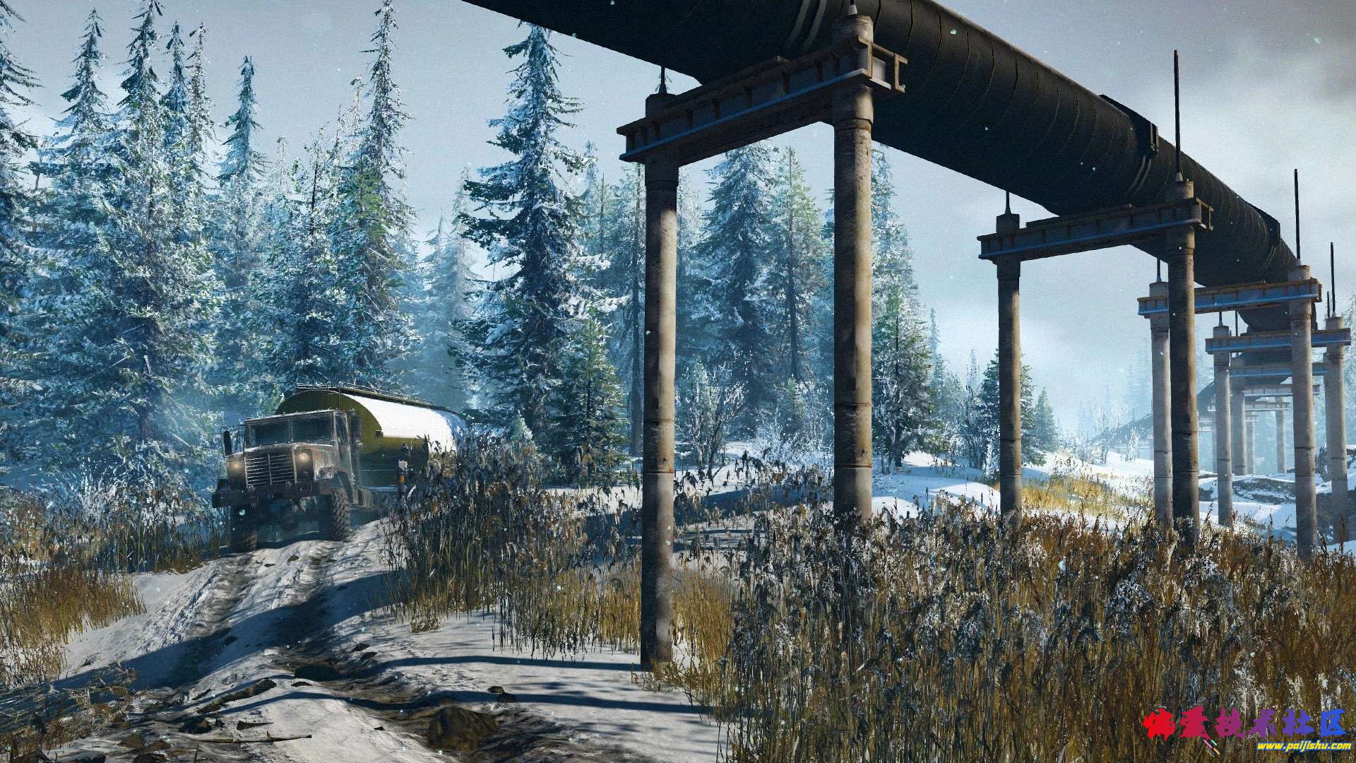 6545.jpg