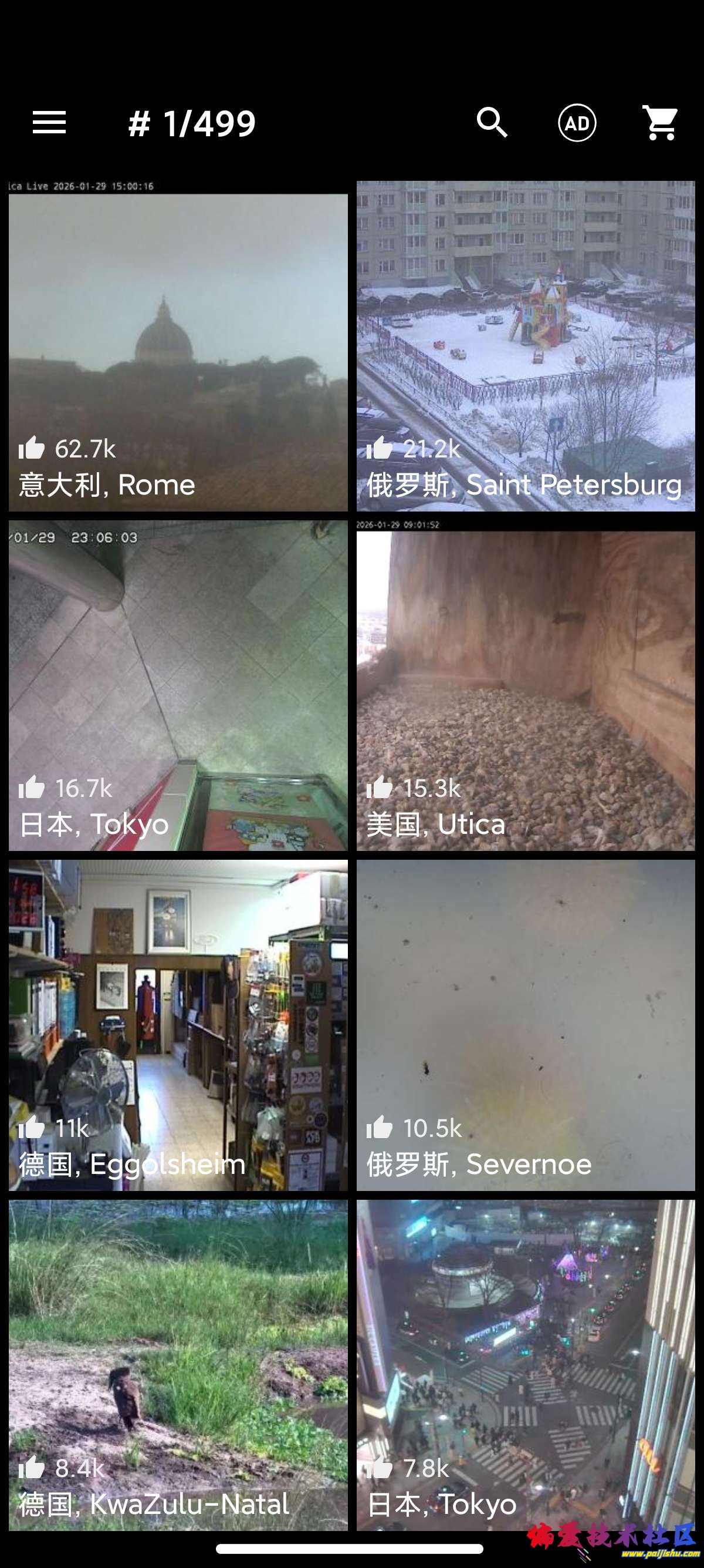 1000025409.jpg
