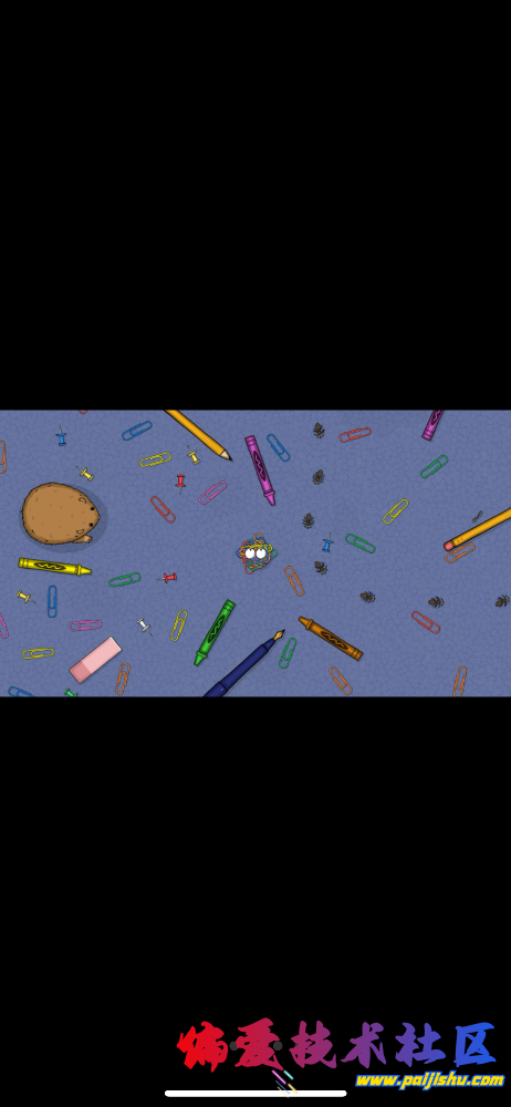 IMG_5537.png