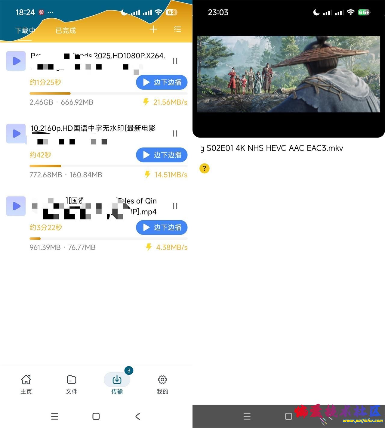 鱿鱼下载.jpg