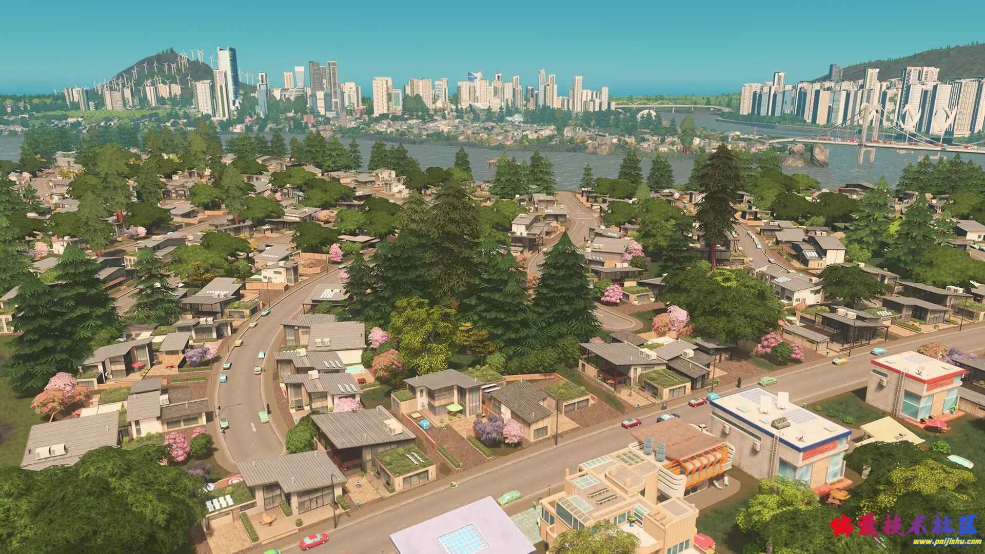 1000029709.jpg