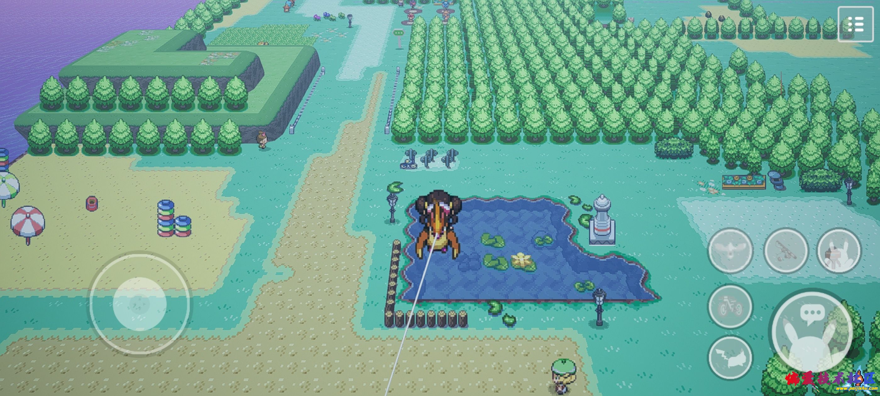 1000033920.jpg