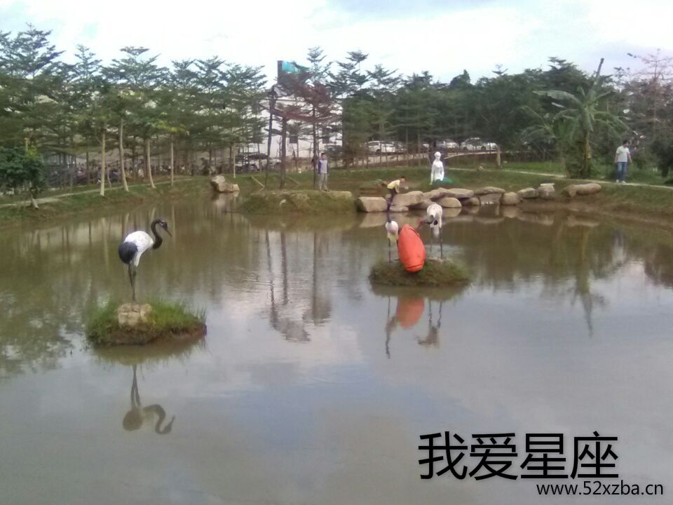 QQ图片20151122190836.jpg